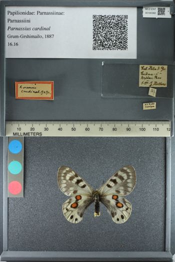 Media type: image;   Entomology 180382